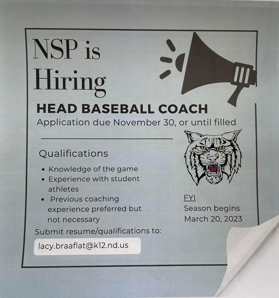 nsp ISO baseball coach