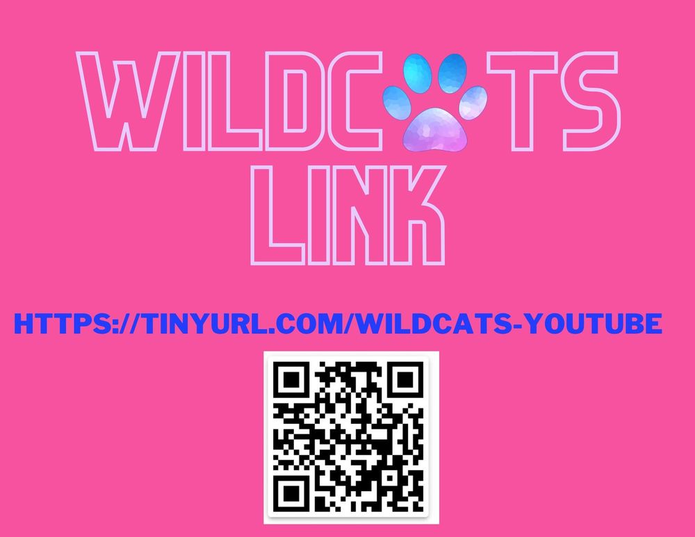 Wildcat YouTube Link